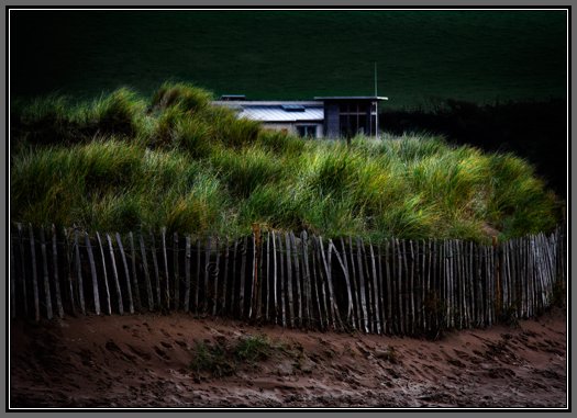 hiding-in-the-dunes.jpg Hiding in the Dunes