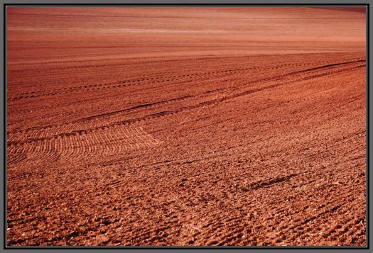 ploughed-devon-field-texture.jpg Red Devon Ploughed Field