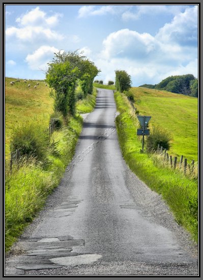 wiltshire-country-lane-colour.jpg Country Lane