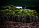 Hiding in the Dunes - hiding-in-the-dunes.jpg click to see this fine art photo at larger size