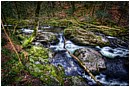 River Erme in Autumn - ivybridge-woods-river.jpg click to see this fine art photo at larger size