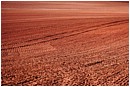 Red Devon Ploughed Field - ploughed-devon-field-texture.jpg click to see this fine art photo at larger size