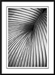 Abstraction Extraction - abstraction-extraction.jpg click to see this fine art photo at larger size
