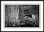 Anchor Chain Knitting - anchor-chain-knitting.jpg click to see this fine art photo at larger size