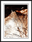 Down On The Beach - down-on-the-beach.jpg click to see this fine art photo at larger size