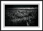 Fence No More - fence-no-more.jpg click to see this fine art photo at larger size