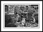 Fordson Tractor - fordson-tractor.jpg click to see this fine art photo at larger size