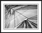 Parasol Tops - parasol-tops.jpg click to see this fine art photo at larger size