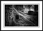 Welcome To My Parlour - welcome-to-my-parlour.jpg click to see this fine art photo at larger size