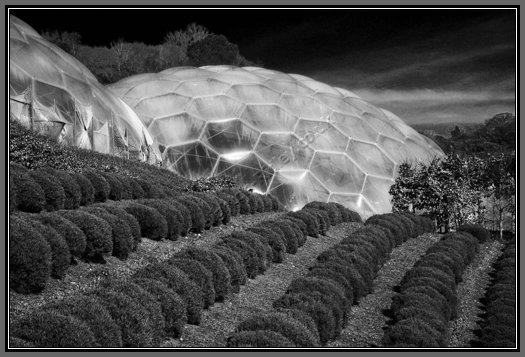 bubble-wrap-sanctuary.jpg Bubble-Wrap Sanctuary