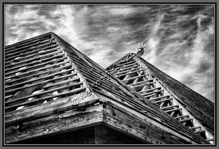 dilapidated-roofs-gull.jpg Roof Skeletons And Gull