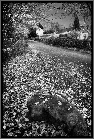 godwell-lane.jpg Godwell Lane In Autumn