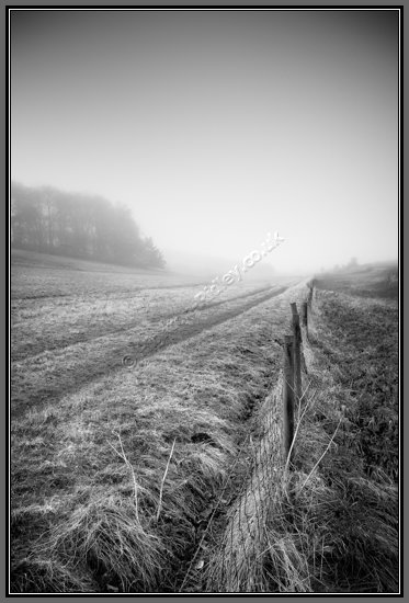 mist-over-wiltshire-field.jpg Mist Over Wiltshire Field