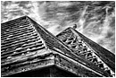 Roof Skeletons And Gull - dilapidated-roofs-gull.jpg click to see this fine art photo at larger size