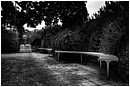 Last To Leave - empty-benches.jpg click to see this fine art photo at larger size