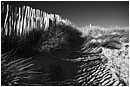 Fencing In The Dunes - fencing-in-the-dunes.jpg click to see this fine art photo at larger size