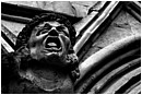 Agony Of Biting Imps - gargoyle-face-agony.jpg click to see this fine art photo at larger size