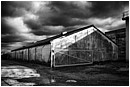 Transit Sheds - industrial-sheds.jpg click to see this fine art photo at larger size