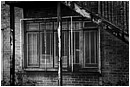 Meshed Windows - meshed-windows.jpg click to see this fine art photo at larger size