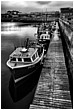 Pontoon Boats - pontoon-boats.jpg click to see this fine art photo at larger size