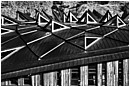 Porcupine Roof - porcupine-roof.jpg click to see this fine art photo at larger size