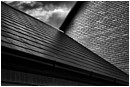 Roof After Rain - roof-after-rain.jpg click to see this fine art photo at larger size