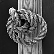 Knot A Rope Knot - rope-knot.jpg click to see this fine art photo at larger size