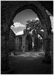 Ruins Of Holy Trinity Church - ruined-church-interior.jpg click to see this fine art photo at larger size
