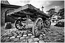 Flatbed Dairy Wagon - wagon.jpg click to see this fine art photo at larger size