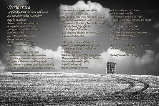 Click the image to see and buy this poster print from my Zazzle store