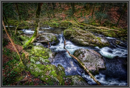 ivybridge-woods-river.jpg River Erme in Autumn