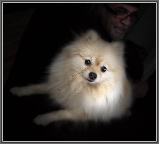 man-and-his-dog.jpg Man's Best Friend