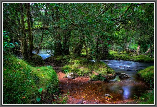 quietly-flows-the-river.jpg Quietly Flows The River