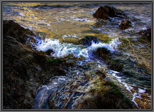 the-eager-tide.jpg The Eager Tide