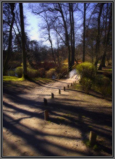 woodland-bridge-path.jpg Woodland Bridge Path