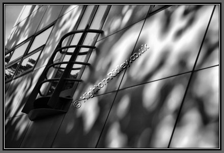 balcony-tree-shadow.jpg Balcony and Dappled Shadows