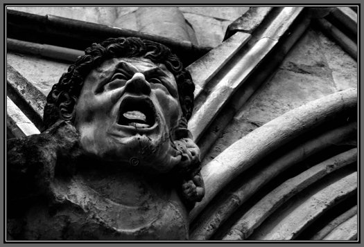 gargoyle-face-agony.jpg Agony Of Biting Imps