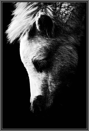 light-grazing.jpg Light Grazing