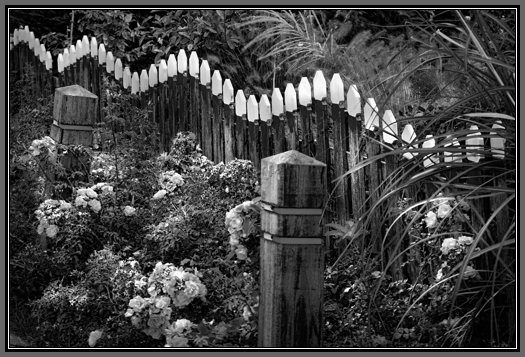 marken-pavement-garden.jpg Marken Pavement Garden