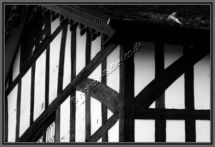 merchants-house.jpg Hello