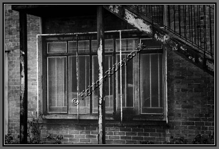meshed-windows.jpg Meshed Windows