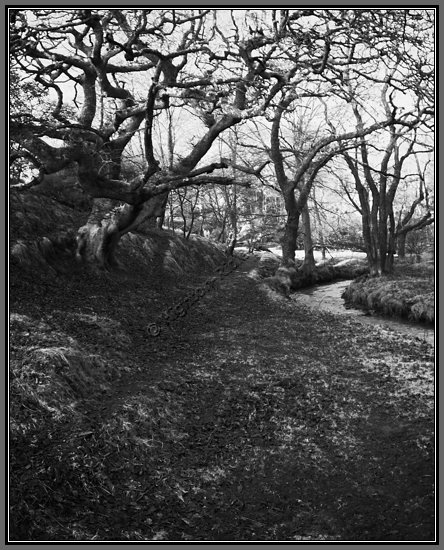 river-on-lee-moor-portrait.jpg River On Lee Moor