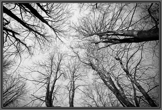 routes-to-the-sky.jpg Routes Into The Sky