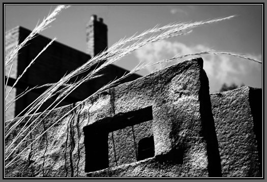 wild-grass-and-iron-cast.jpg Wild Grass And Iron Cast