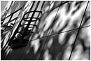 Balcony and Dappled Shadows - balcony-tree-shadow.jpg click to see this fine art photo at larger size