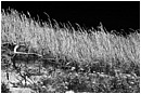 Cliff's Edge And Beyond - cliffs-edge-and-beyond.jpg click to see this fine art photo at larger size