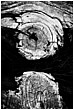 Distortion of the Mind's Eye - distortion-of-the-eye.jpg click to see this fine art photo at larger size