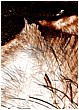Down On The Beach - down-on-the-beach.jpg click to see this fine art photo at larger size