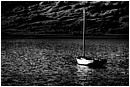 Drowsy on a Sea of Dreams - drowsy-on-a-sea-of-dreams.jpg click to see this fine art photo at larger size
