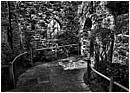 Elizabethan Garden Path - elizabethan-garden-path.jpg click to see this fine art photo at larger size
